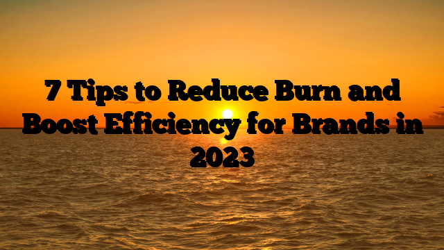 7 Tips to Reduce Burn and Boost Efficiency for Brands in 2023